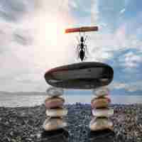 最​火﻿高​端​网​站​设﻿计​首‍选﻿